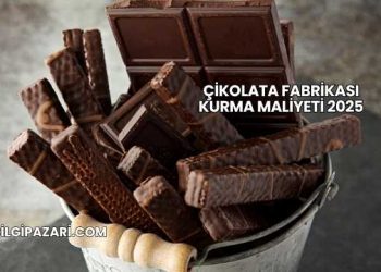 Çikolata Fabrikası Kurma Maliyeti 2025