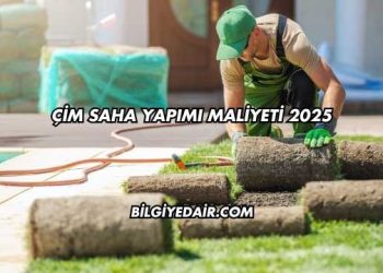 Çim Saha Yapımı Maliyeti 2025