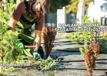 Damlama Sulama Tesisatı Maliyeti 2025