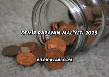 Demir Paranın Maliyeti 2025