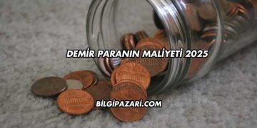 Demir Paranın Maliyeti 2025