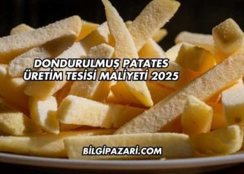 Dondurulmuş Patates Üretim Tesisi Maliyeti 2025
