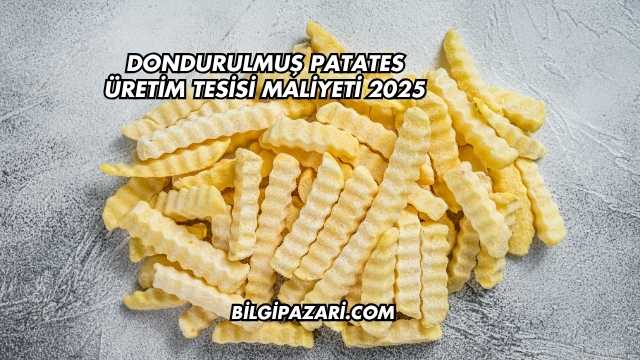 Dondurulmuş Patates Üretim Tesisi Maliyeti 2025
