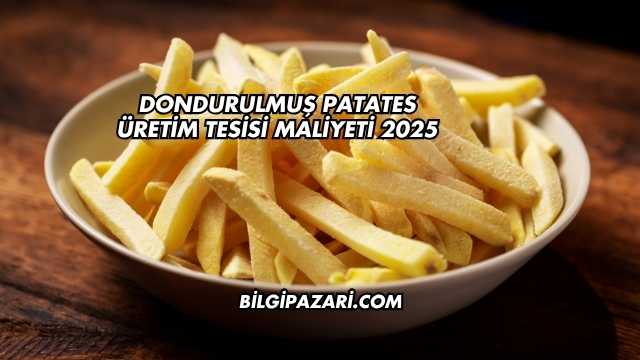 Dondurulmuş Patates Üretim Tesisi Maliyeti 2025