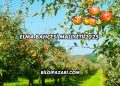 Elma Bahçesi Maliyeti 2025