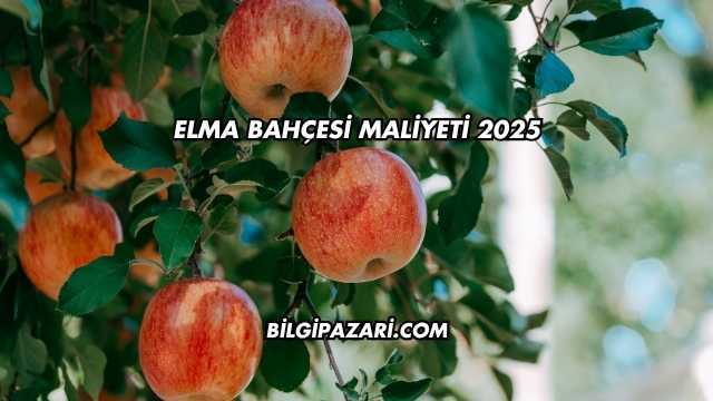 Elma Bahçesi Maliyeti 2025