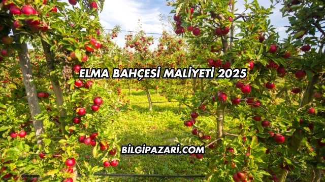 Elma Bahçesi Maliyeti 2025