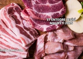 Et Entegre Tesisi Maliyeti 2025