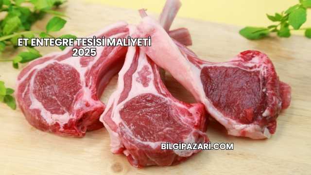 Et Entegre Tesisi Maliyeti 2025