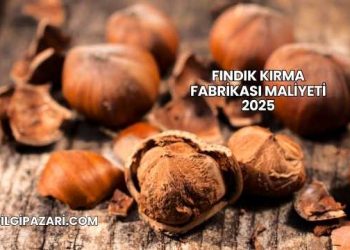 Fındık Kırma Fabrikası Maliyeti 2025