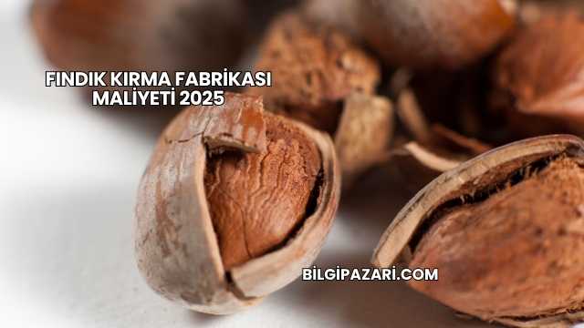 Fındık Kırma Fabrikası Maliyeti 2025