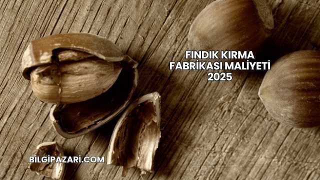 Fındık Kırma Fabrikası Maliyeti 2025