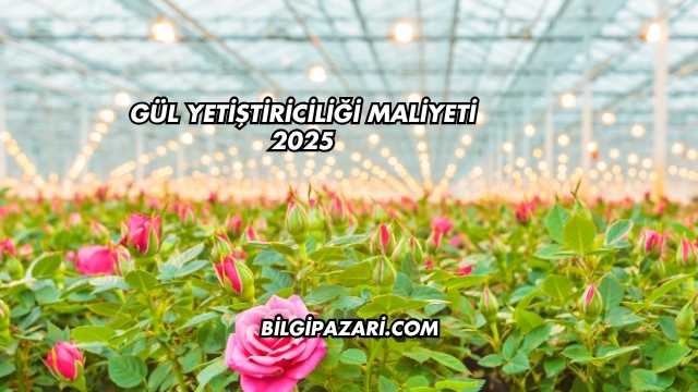 Gül Yetiştiriciliği Maliyeti 2025