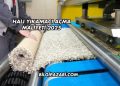 Halı Yıkamacı Açma Maliyeti 2025