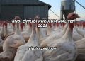 Hindi Çiftliği Kurulum Maliyeti 2025