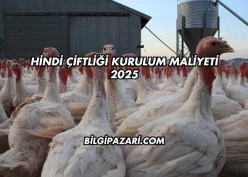 Hindi Çiftliği Kurulum Maliyeti 2025