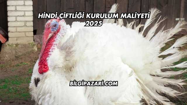Hindi Çiftliği Kurulum Maliyeti 2025