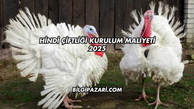 Hindi Çiftliği Kurulum Maliyeti 2025