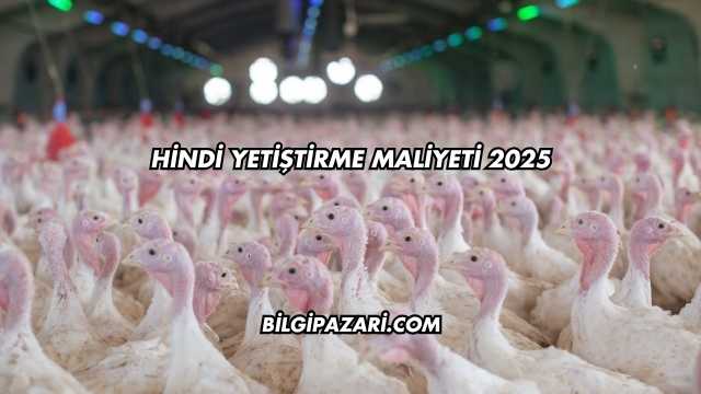 Hindi Yetiştirme Maliyeti 2025