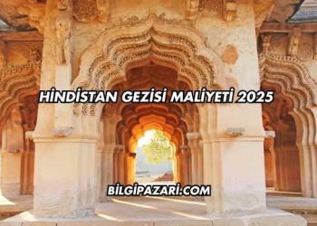 Hindistan Gezisi Maliyeti 2025