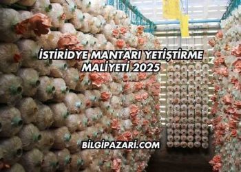 İstiridye Mantarı Yetiştirme Maliyeti 2025