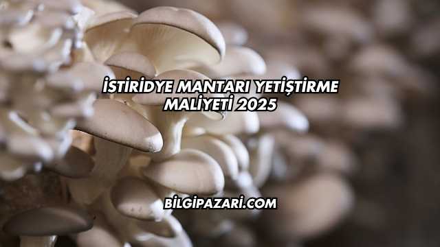 İstiridye Mantarı Yetiştirme Maliyeti 2025