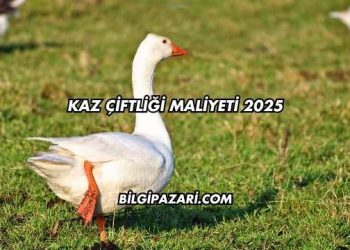 Kaz Çiftliği Maliyeti 2025