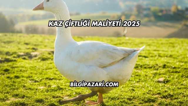 Kaz Çiftliği Maliyeti 2025