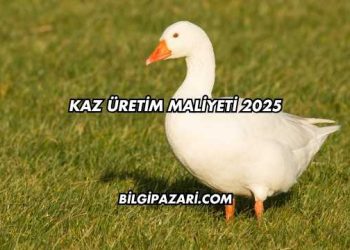 Kaz Üretim Maliyeti 2025