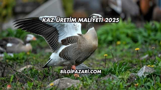 Kaz Üretim Maliyeti 2025