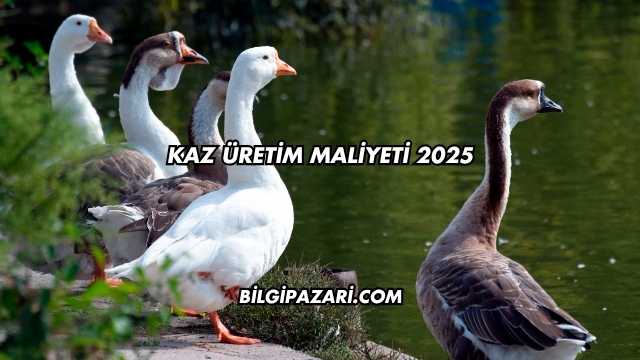 Kaz Üretim Maliyeti 2025