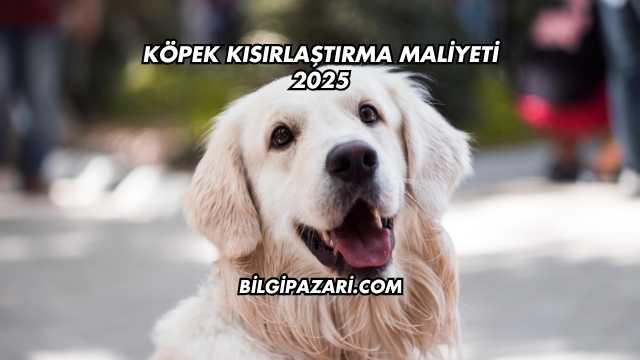 Köpek Kısırlaştırma Maliyeti 2025