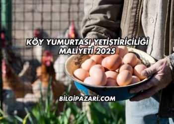 Köy Yumurtası Yetiştiriciliği Maliyeti 2025