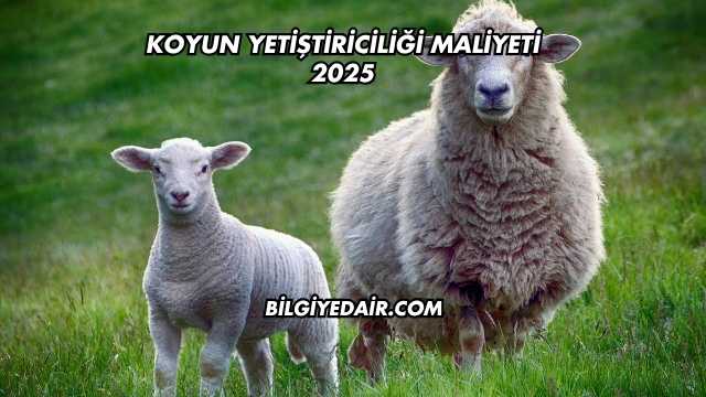 Koyun Yetiştiriciliği Maliyeti 2025