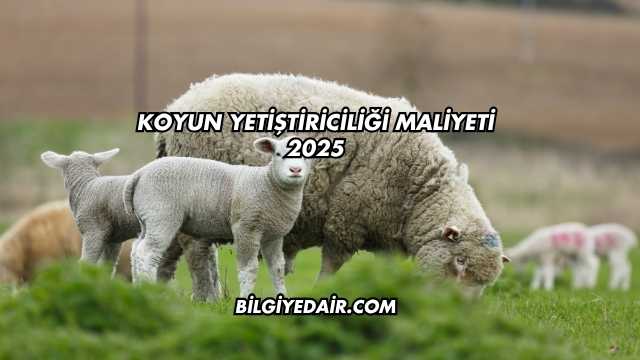 Koyun Yetiştiriciliği Maliyeti 2025