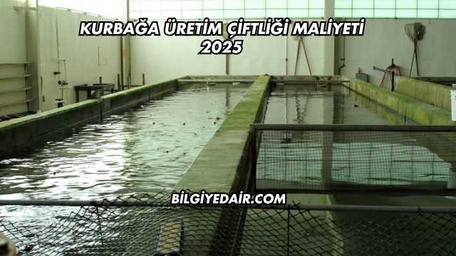 Kurbağa Üretim Çiftliği Maliyeti 2025