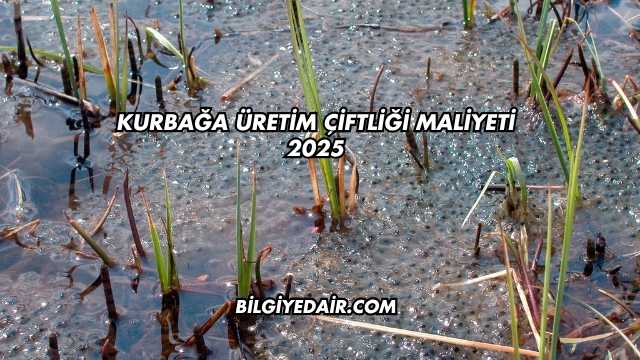 Kurbağa Üretim Çiftliği Maliyeti 2025