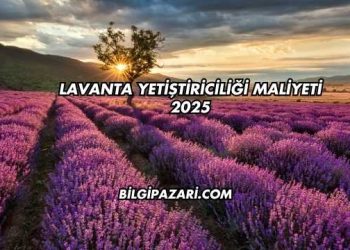 Lavanta Yetiştiriciliği Maliyeti 2025