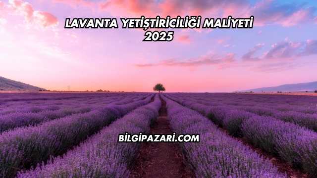 Lavanta Yetiştiriciliği Maliyeti 2025