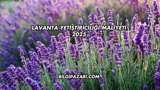 Lavanta Yetiştiriciliği Maliyeti 2025