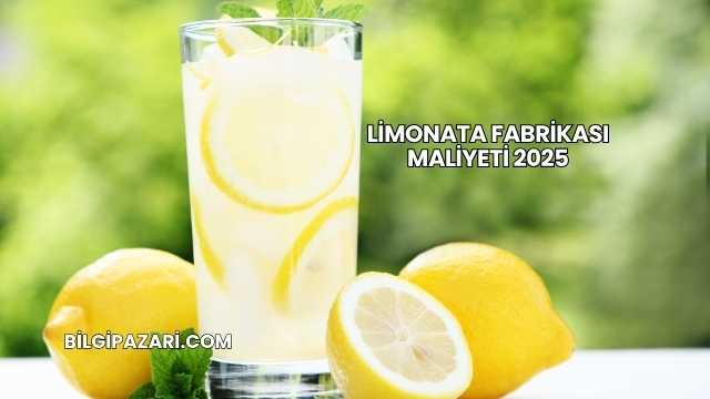 Limonata Fabrikası Maliyeti 2025