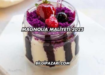 Magnolia Maliyeti 2025