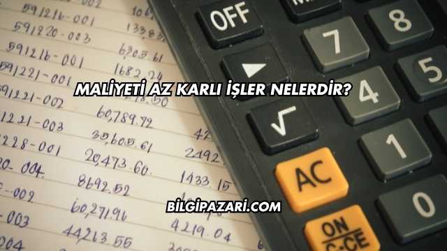 Maliyeti Az Karlı İşler Nelerdir?