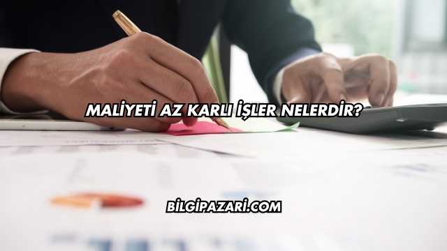 Maliyeti Az Karlı İşler Nelerdir?