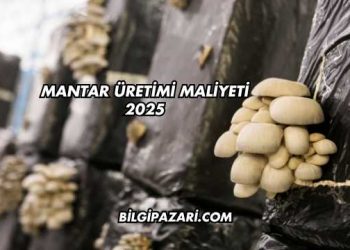 Mantar Üretimi Maliyeti 2025