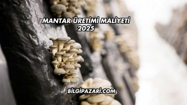 Mantar Üretimi Maliyeti 2025