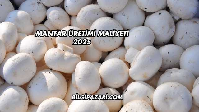 Mantar Üretimi Maliyeti 2025