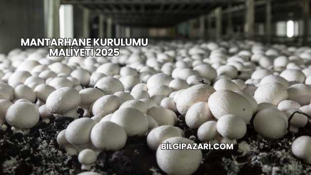 Mantarhane Kurulumu Maliyeti 2025
