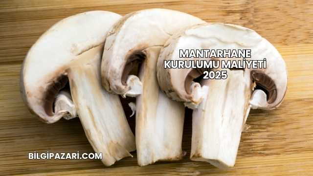 Mantarhane Kurulumu Maliyeti 2025