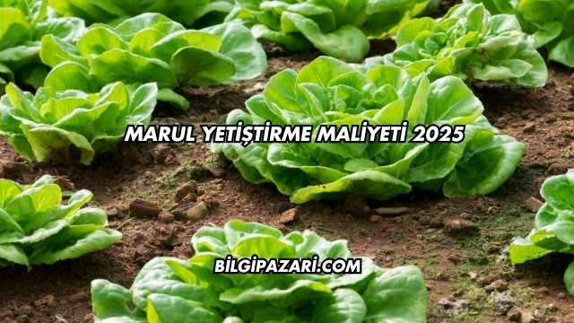 Marul Yetiştirme Maliyeti 2025